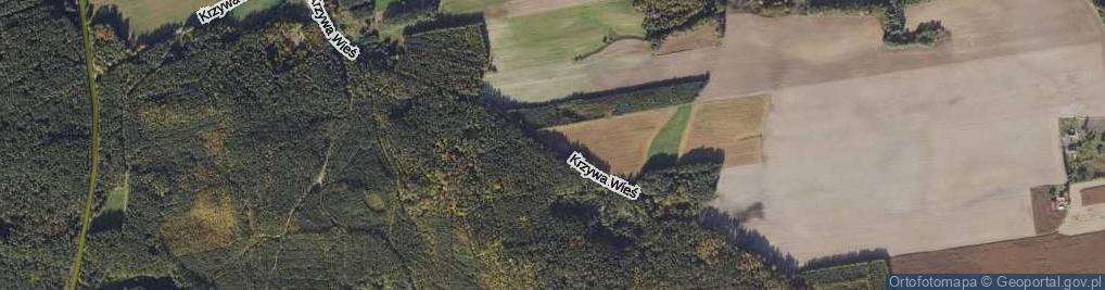 Zdjęcie satelitarne Krzywa Wieś ul.